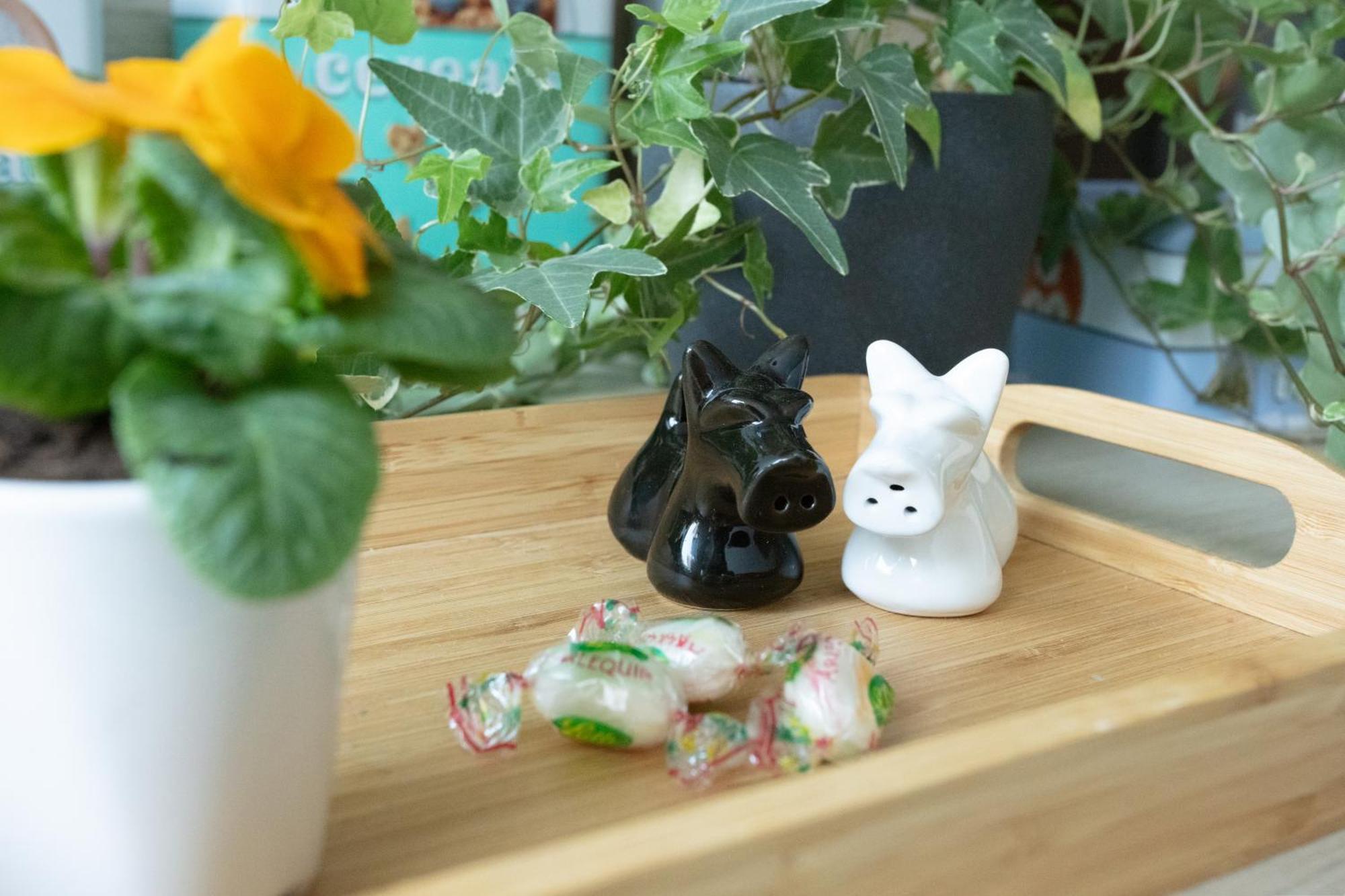 Logement Equipe Saint-Paul-de-Varax エクステリア 写真