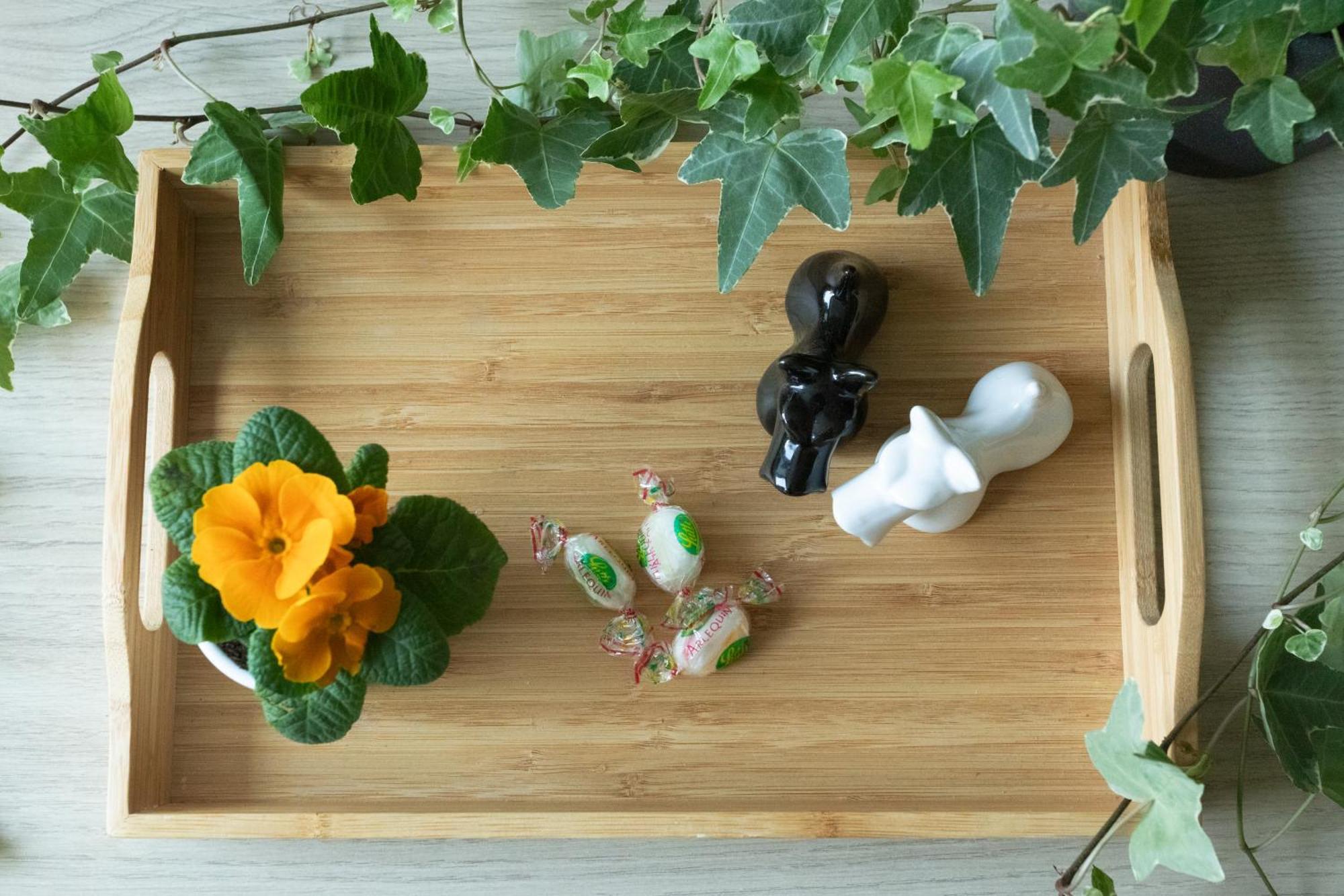 Logement Equipe Saint-Paul-de-Varax エクステリア 写真